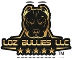 Small breeder photo