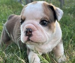Small #6 Breeder Profile image