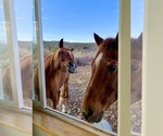 Small #12 Breeder Profile image
