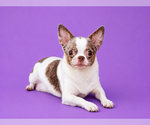 Small #3 Breeder Profile image