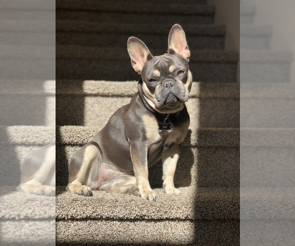 Medium Photo #1  Breeder Profile in PASO ROBLES, CA, USA
