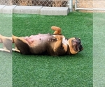 Small #20 Breeder Profile image