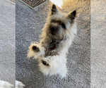Small #46 Breeder Profile image
