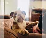 Small #1 Breeder Profile image