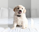 Small #5 Breeder Profile image
