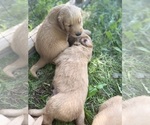 Small #27 Breeder Profile image