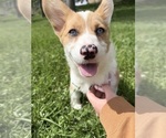Small #2 Breeder Profile image
