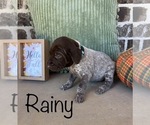 Small #10 Breeder Profile image