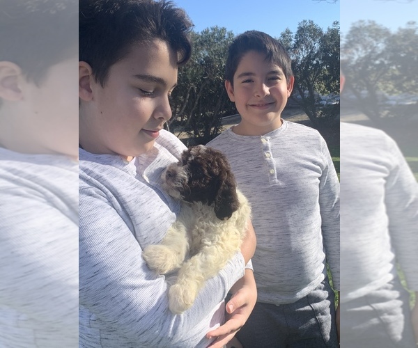 Medium Photo #32  Breeder Profile in YUBA CITY, CA, USA