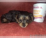 Small #178 Breeder Profile image