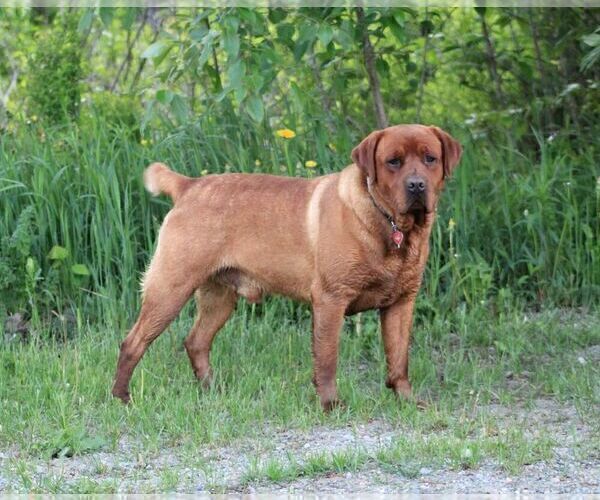Medium Photo #9  Breeder Profile in HYDE PARK, VT, USA