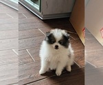 Small #17 Breeder Profile image