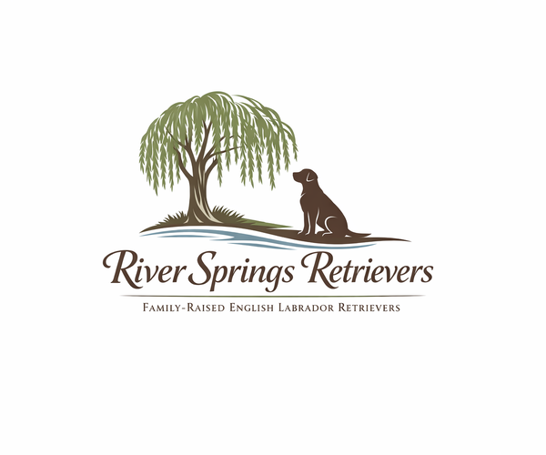 Medium Photo #1  Breeder Profile in HOLLY SPRINGS, NC, USA