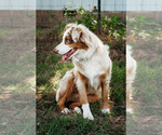 Small Photo #1  Breeder Profile in ARDMORE, OK, USA