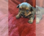 Small #121 Breeder Profile image