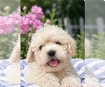 Small #5 Breeder Profile image