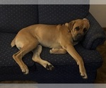 Small #14 Breeder Profile image
