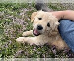 Small #4 Breeder Profile image
