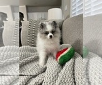 Small #11 Breeder Profile image