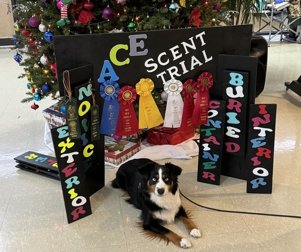 Medium Photo #14  Breeder Profile in NOLENSVILLE, TN, USA