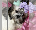 Small #4 Breeder Profile image