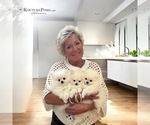 Small #19 Breeder Profile image