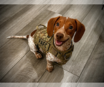 Small #2 Breeder Profile image