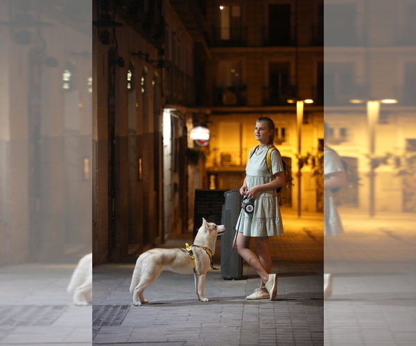 Medium Photo #11  Breeder Profile in Lviv, Lviv, Ukraine