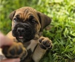 Small #5 Breeder Profile image