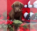 Small #47 Breeder Profile image