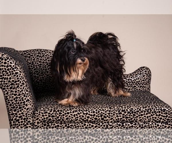 Medium Photo #3  Breeder Profile in CAMPBELL, TX, USA