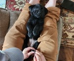 Small #15 Breeder Profile image