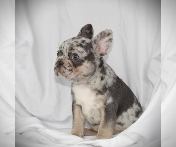 Medium Photo #3  Breeder Profile in HASTINGS, MN, USA