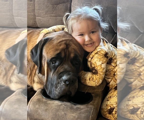 Medium Photo #5  Breeder Profile in ENID, OK, USA