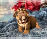 Small #10 Breeder Profile image