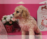 Small #107 Breeder Profile image