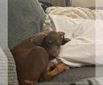 Small #4 Breeder Profile image