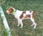 Small #9 Breeder Profile image