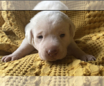 Small #3 Breeder Profile image