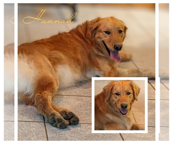 Medium Photo #7  Breeder Profile in MOLALLA, OR, USA
