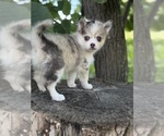 Small #9 Breeder Profile image