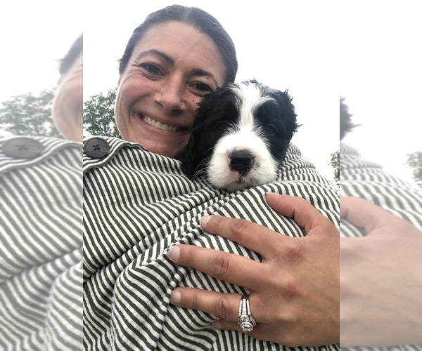 Medium Photo #1  Breeder Profile in MIAMISBURG, OH, USA