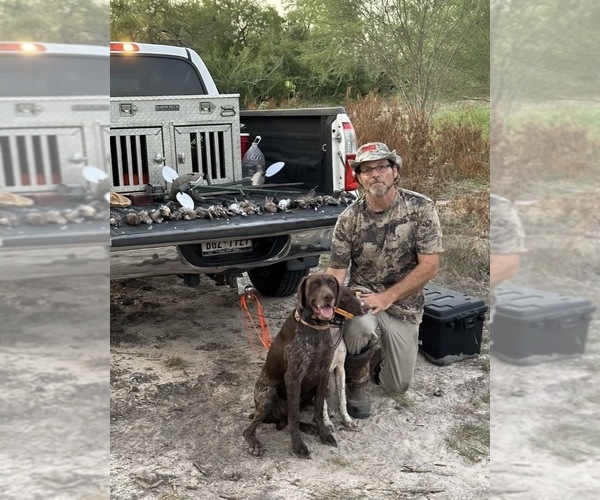 Medium Photo #4  Breeder Profile in DRIPPING SPRINGS, TX, USA