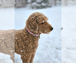 Small #13 Breeder Profile image
