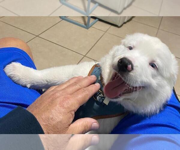 Medium Photo #11  Breeder Profile in CLERMONT, FL, USA