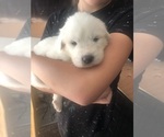 Small #3 Breeder Profile image