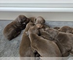 Small #4 Breeder Profile image