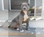 Small breeder photo