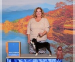 Small #10 Breeder Profile image