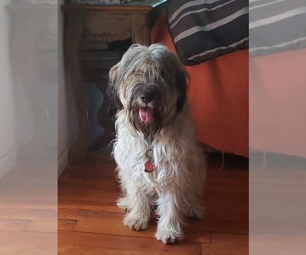 Medium Photo #7  Breeder Profile in SMALLWOOD, NY, USA